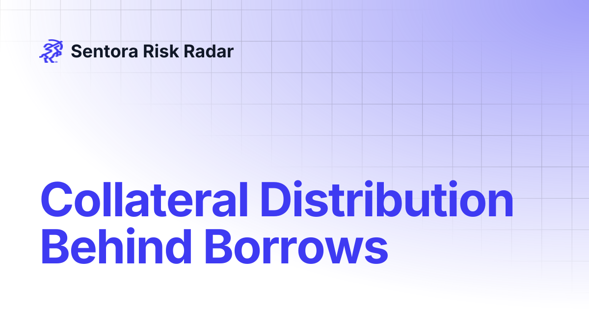 Collateral Distribution Behind Borrows | Sentora Risk Radar